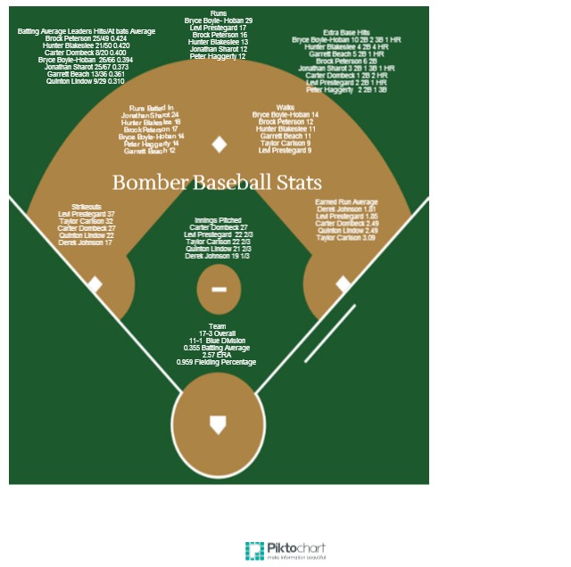 Baseball Stats 2014