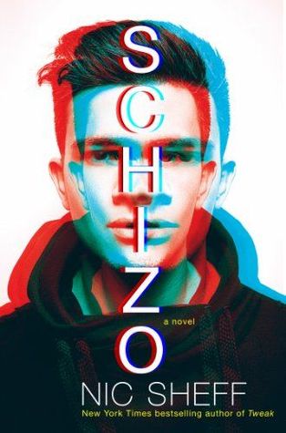 Artwork on the cover of the book Schizo by Nic Sheff