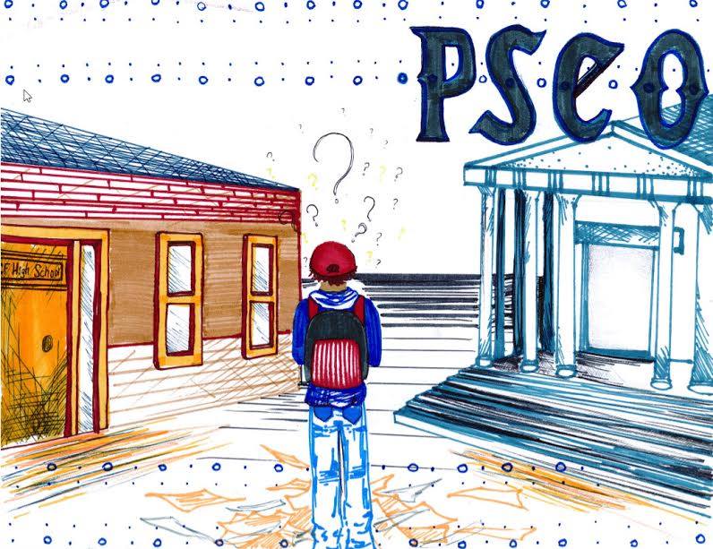 Stay in high school ?... take PSEO courses?...What are my options?