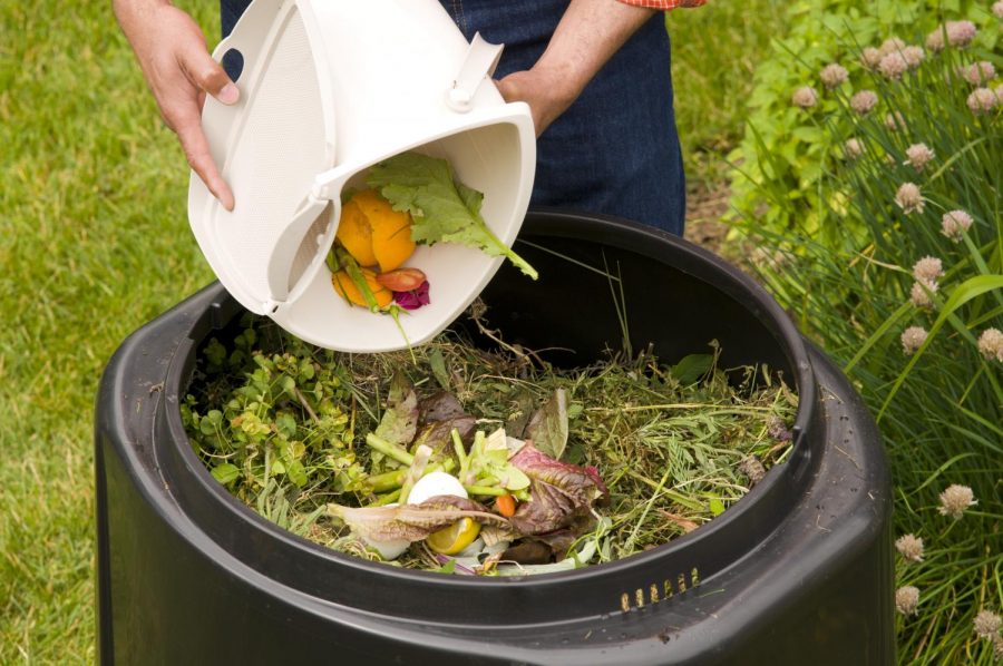 Composting food scraps may be one answer to our landfill problems