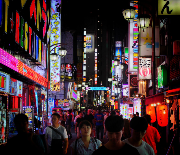 Shinjuku, Red Light District of Tokyo