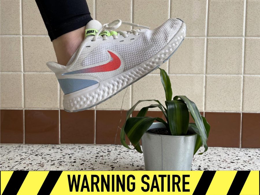An impending tennis shoe threatens and innocent plant.
