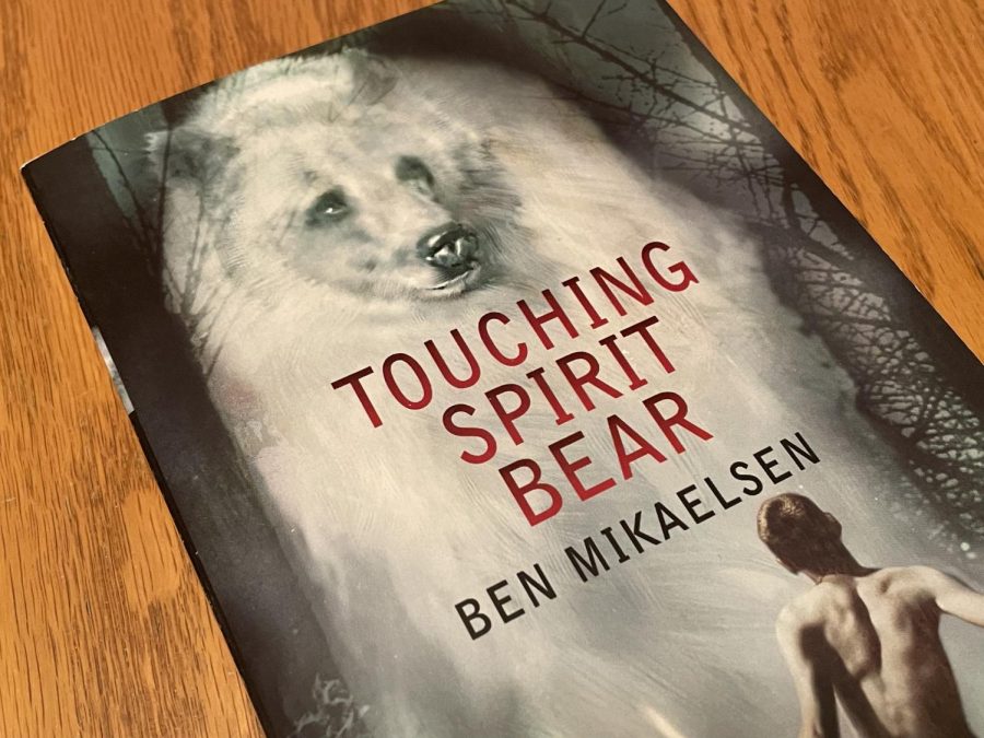 Touching Spirit Bear was a 6th grade class reading project.