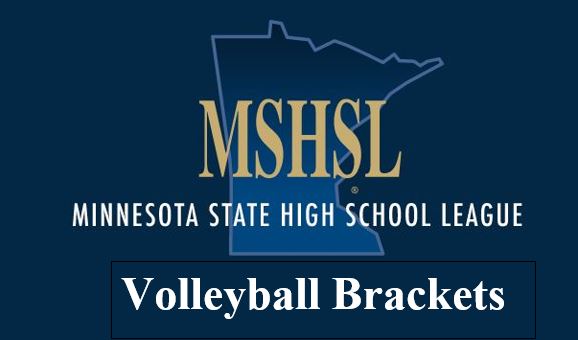 State volleyball bracket