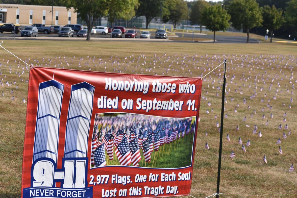 A banner displays the purpose of the flags.