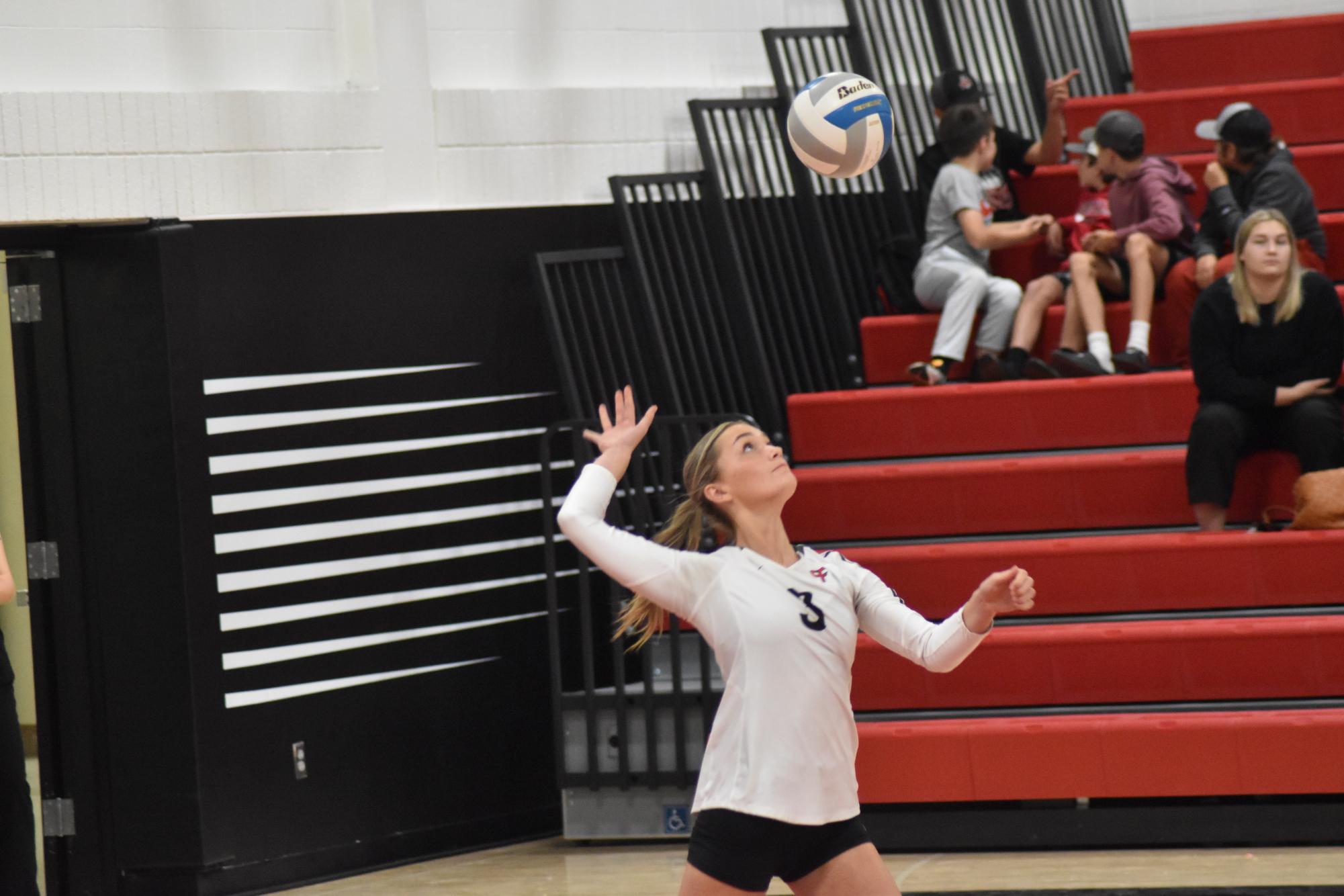 Anna Otte serves the ball to St. Croix Lutheran opponents.