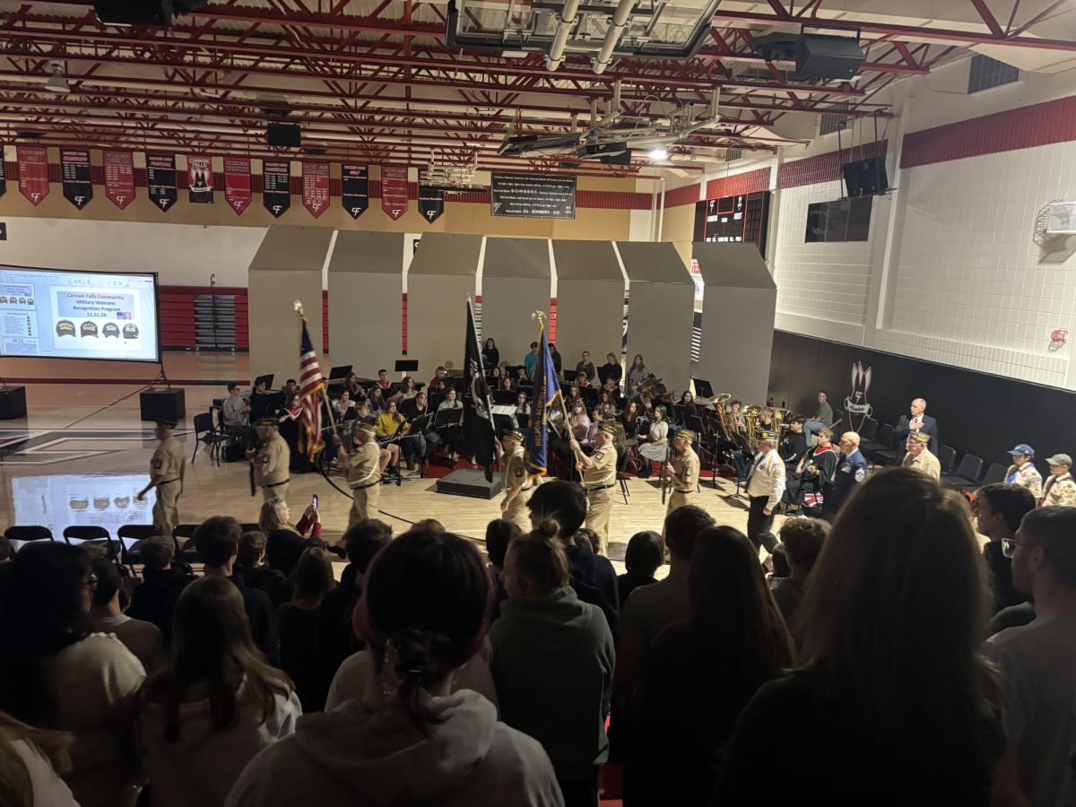 Veteran's day program