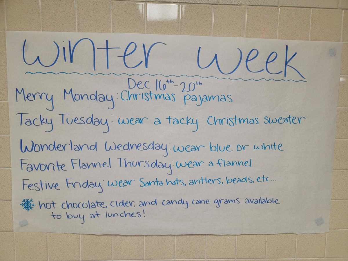 Winter week dress up days