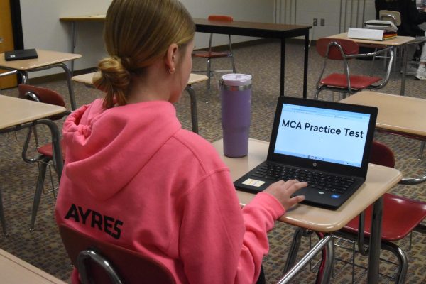 Students prepare for their MCA tests