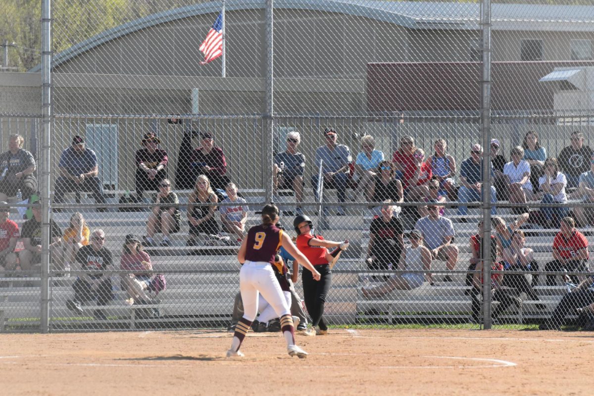 Bomber softball player at bat