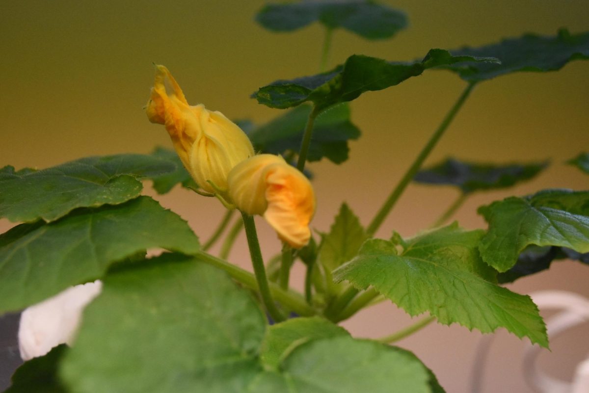 Springing into a new season