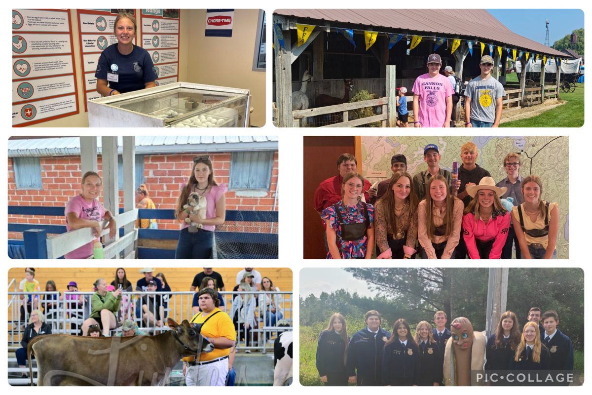 A collage of various activities FFA members did over the summer