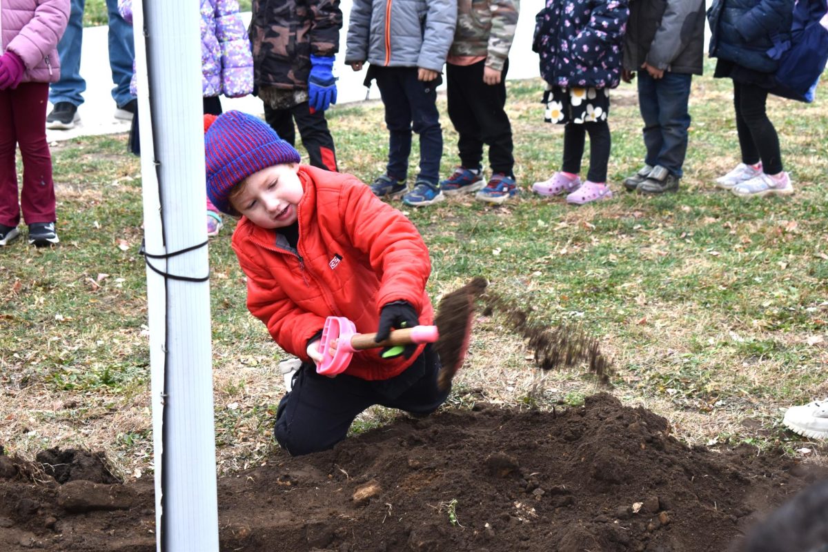 Students of all ages helped in the new tree planting.