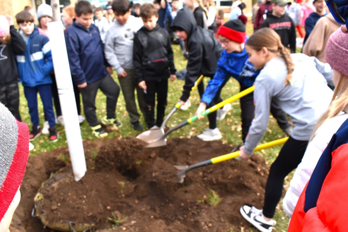 Fourth and fifth grade students help cover the tree roots.