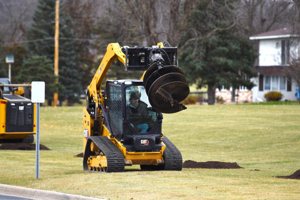 Maintenance staff dig several holes for the replacement trees.