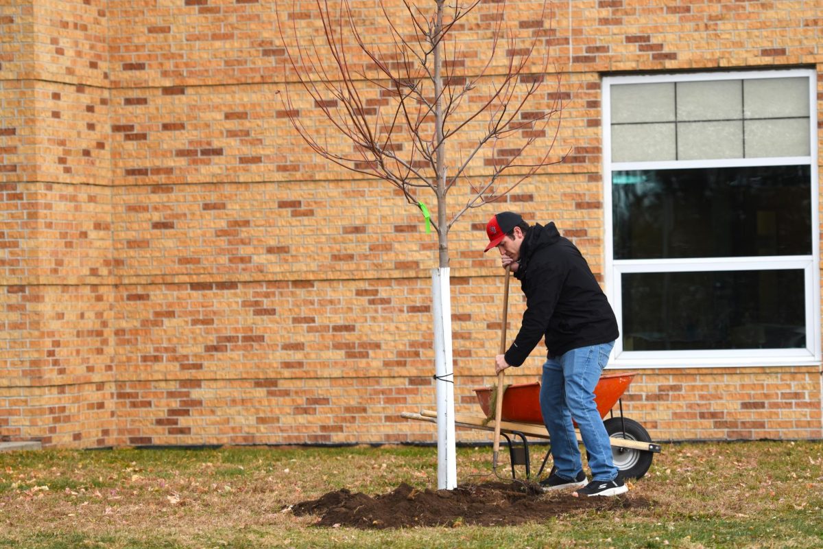 Maintenance director Stephen Johnson puts finishing touches on a tree at the elementary school