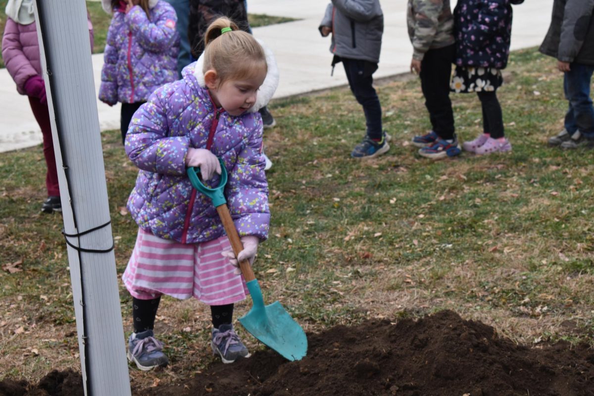 Elementary pre-school student Charlie Schwarz helps replace dirt for the tree planting ceremony.