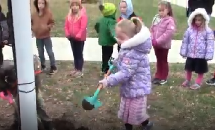Elementary pre-school student helps replace dirt for the tree planting ceremony.